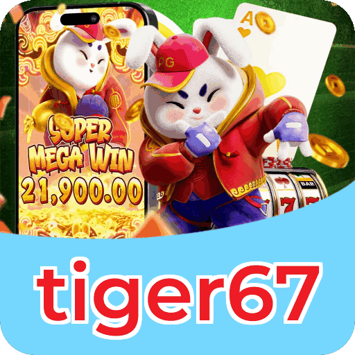 Verificação KYC tiger67